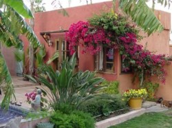 Tucson garden with Adobe house