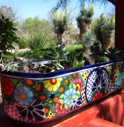 Garden talavera pot