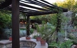 Desert Garden