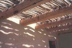 Beam and cactus spine provide a shaded retreat